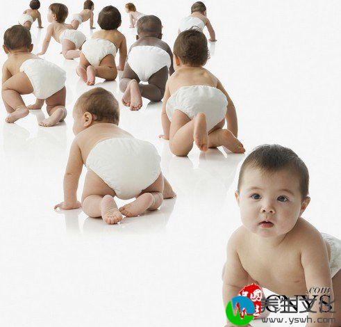 卵磷脂影响宝宝的日后的智力开发