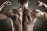 九个健身动作强化背部肌肉 练出好身材
