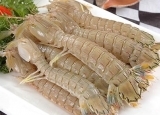 一只皮皮虾里竟有200只寄生虫 你还敢吃吗