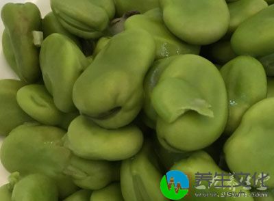哺乳期吃蚕豆须注意：哺乳期妈妈如果对蚕豆过敏，则不宜食用蚕豆