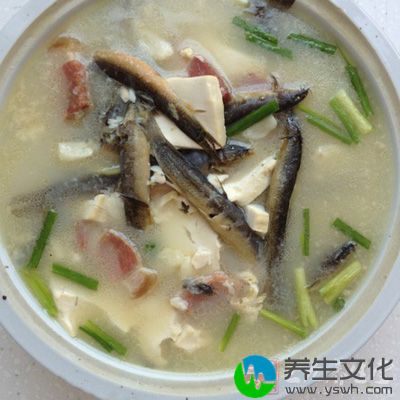 泥鳅豆腐汤就是一道不仅味美，且搭配绝佳的汤品