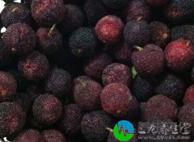 杨梅富含维生素，多种有机酸，是一种独特的水果