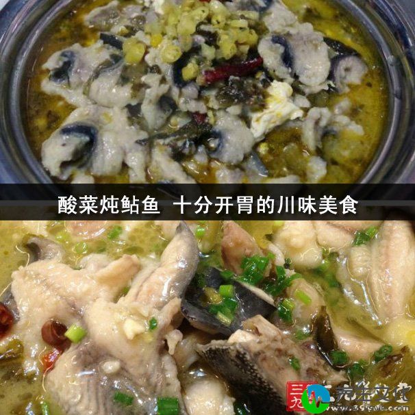 酸菜炖鲇鱼