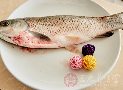 草鱼怎么做好吃 四种做法尝尽美味