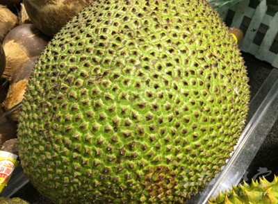 菠萝蜜的核怎么吃 菠萝蜜的营养价值