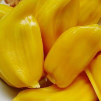 菠萝蜜的营养价值  菠萝蜜的食用注意事项