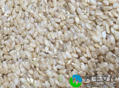 糙米的营养价值及功效