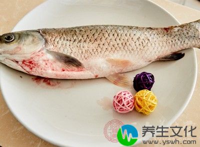 草鱼比较常见的一种做法就是红烧