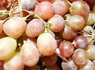 来月经能吃葡萄吗 葡萄有哪些营养价值