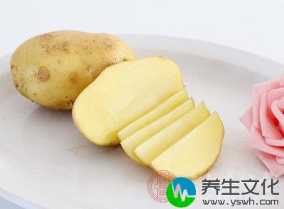 土豆是我们餐桌上经常出现的食物