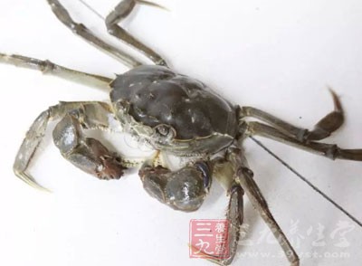 河蟹不能和什么一起吃 河蟹与它同吃易中毒