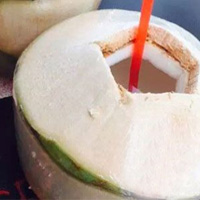 吃椰子的好处 椰子具有止血的功效