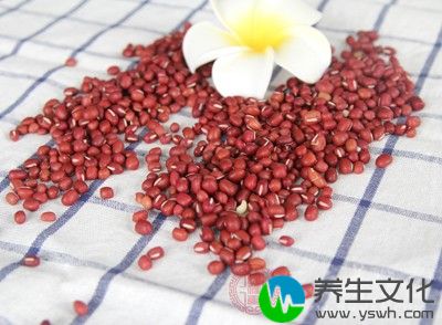 中医认为红豆豆性平味甘酸有滋补强壮健脾养胃