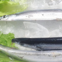 秋刀鱼的营养价值 秋刀鱼含有丰富维生素