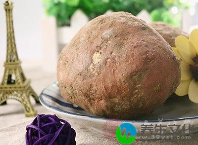 红薯叶有提高免疫力、止血、降糖、解毒、防治夜盲症等保健功能