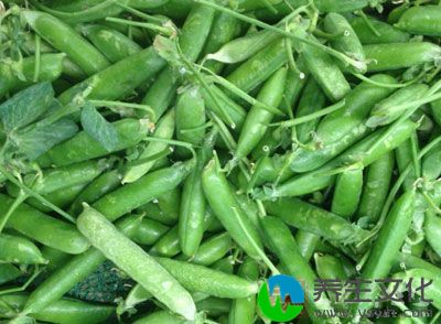 菜豌豆含有丰富的蛋白质，可以提高人体免疫力