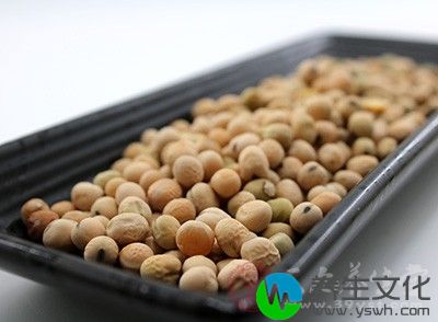 取一粒生大豆用牙齿咬，发声清脆或碎粒的，说明大豆干燥，质量佳