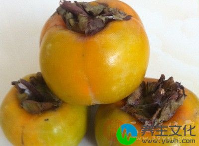 柿子中含有大量的柿胶酚和一种叫红鞣质的可溶性收敛剂