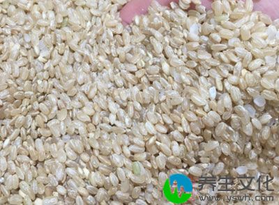 糙米的营养价值非常高，它里面含有非常多的纤维素