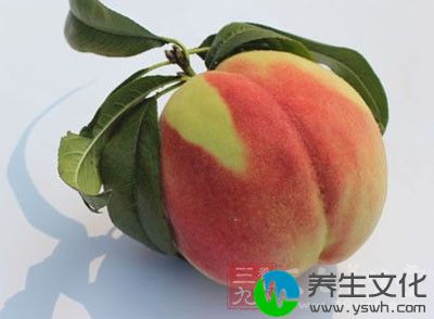在桃子的种植过程中，为了避免虫蛀