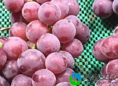 众所周知，葡萄的营养价值很高。葡萄中含有矿物质钙、钾、磷、铁、蛋白质以及多种维生素B1.B2.B6.C和P等