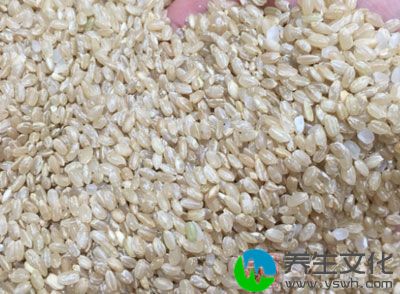糙米是指去除稻谷外壳后的米