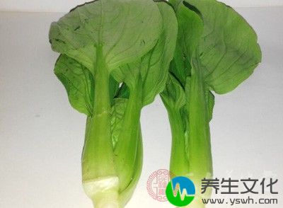 青菜清淡味鲜而不油腻，又含有丰富的维生素和蛋白质