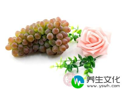 葡萄中铁元素在水果中含量较高