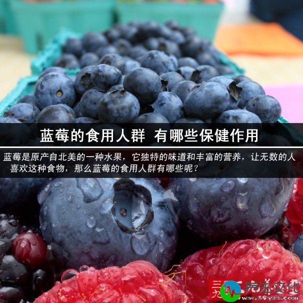 蓝莓的食用人群