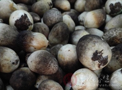 草菇的食用禁忌 脾胃虚寒人群不适宜食用草菇