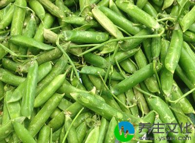 豌豆是一种非常适合高血压、糖尿病、热性体质等人群食用的养生食物