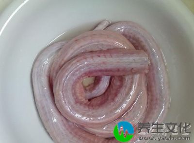 蛇肉与蛇皮中有效寄生虫需洗剥干净