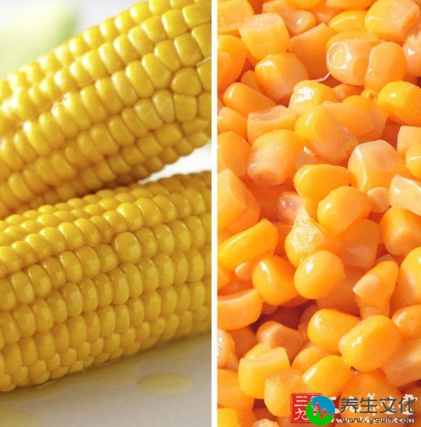 玉米中富含的纤维素，可吸收人体内的胆固醇