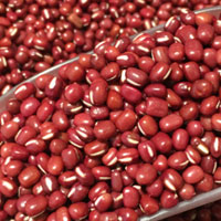 赤小豆的功效 女性多吃赤小豆能降脂瘦身