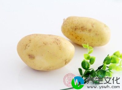 土豆是我们经常吃的蔬菜