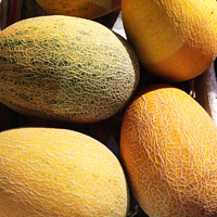 哈密瓜的营养价值 常吃哈密瓜能预防疾病