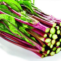 红菜苔的营养价值 吃红菜苔能活血散瘀