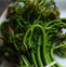 蕨菜是什么 蕨菜的营养价值有哪些