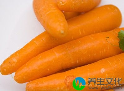 胡萝卜含有植物纤维，吸水性强，在肠道中体积容易膨胀