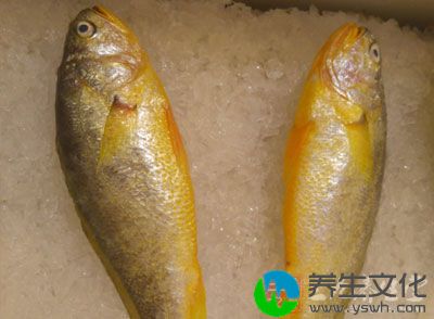 小黄鱼营养丰富，富含优质蛋白质、胆固醇、维生素以及多种矿物元素