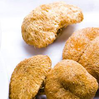 猴头菇的功效与作用 吃猴头菇抗癌抗肿瘤