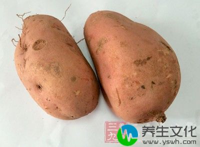 红薯发芽能吃吗