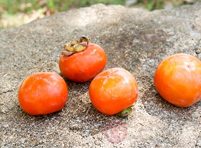 软柿子和硬柿子的区别 软硬柿子孕妇都能吃吗
