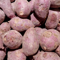 紫薯的功效 吃紫薯能预防便秘还能减肥