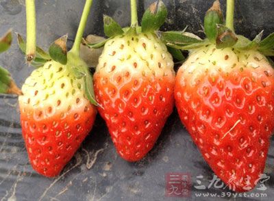 草莓布丁的做法 草莓的另类吃法