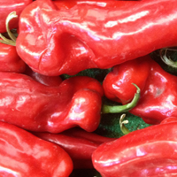红椒的功效与作用 常吃红椒能有效抗癌