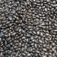 黑豆的功效与作用 吃黑豆能益寿