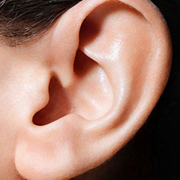 治疗耳鸣耳聋的中药方剂