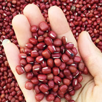 赤小豆的营养价值 吃赤小豆能健脾养胃