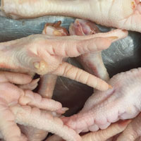 鸡爪的营养价值 吃鸡爪能提高免疫力